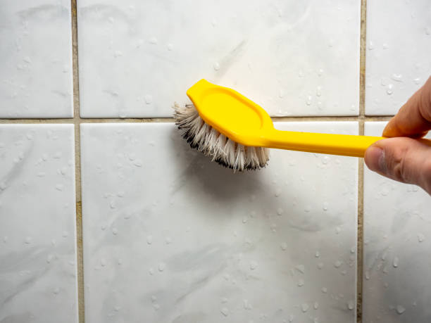 Best Mold Remediation for Schools in Warsaw, MO